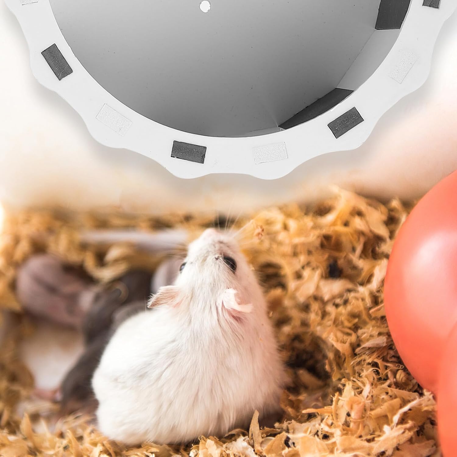 Silent Hamster Running Wheel Steel Shaft, Small Animal Exercise Spinner for Hamsters, Chinchillas, and Squirrels, Black and White Quiet Jogging for Cage Use