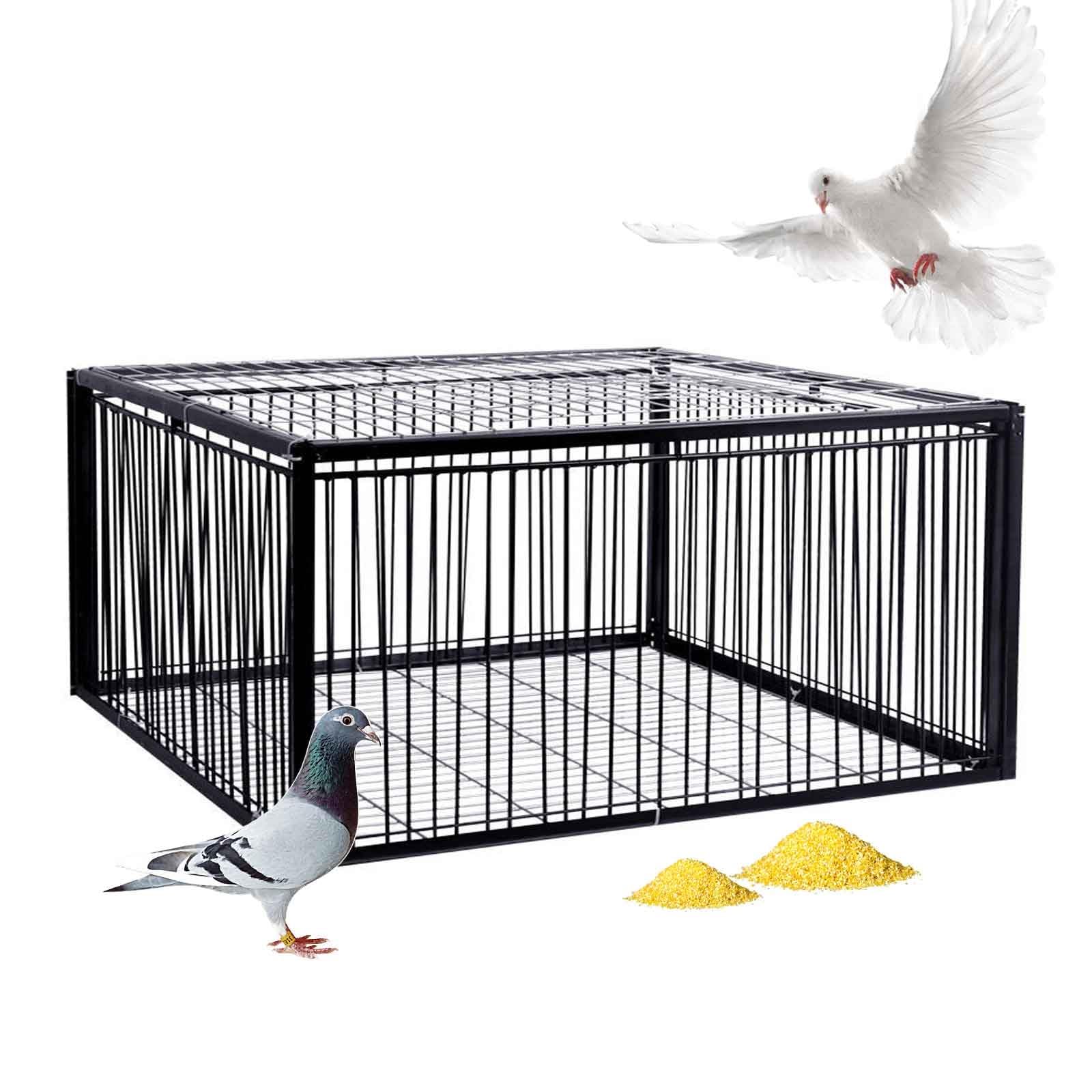 Trampa para palomas, jaula para pájaros, 4 entradas, diseño unidireccional para entrada pero no salida, trampas para pájaros pequeños, trampa para gorriones, adecuada para jardines, balcones, granjas
