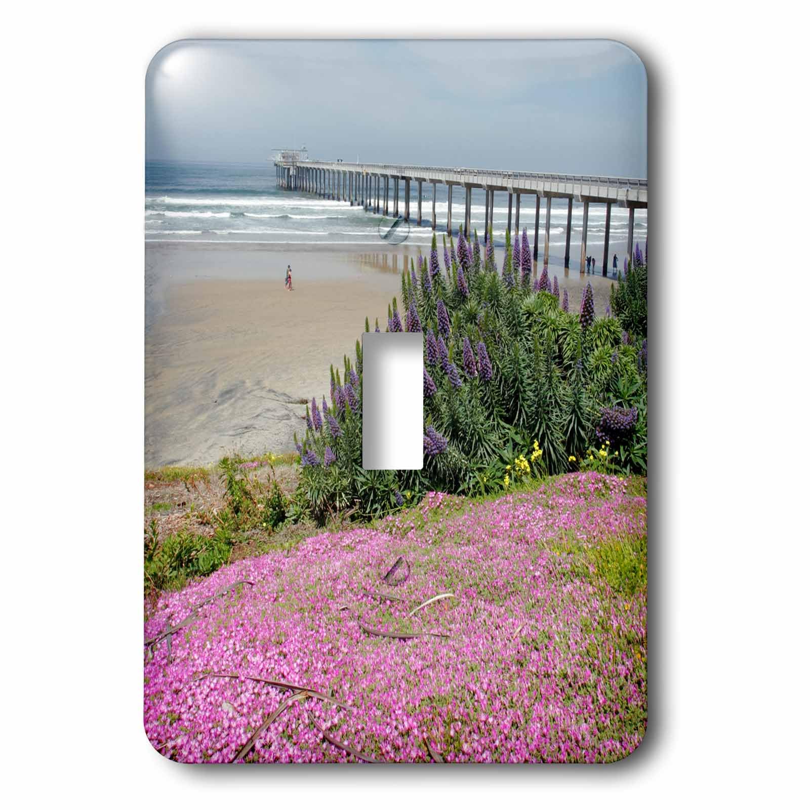 Interrupteur Scripps Institution Of Oceanography pour remplacer une plaque murale terne