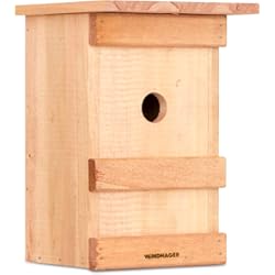 Paneles De Bambú Para Exterior Windhager Caja Nido para pájaros Birdy, Nido, Incubadora de Aves, Ayuda para el Nido de Aves, 06961