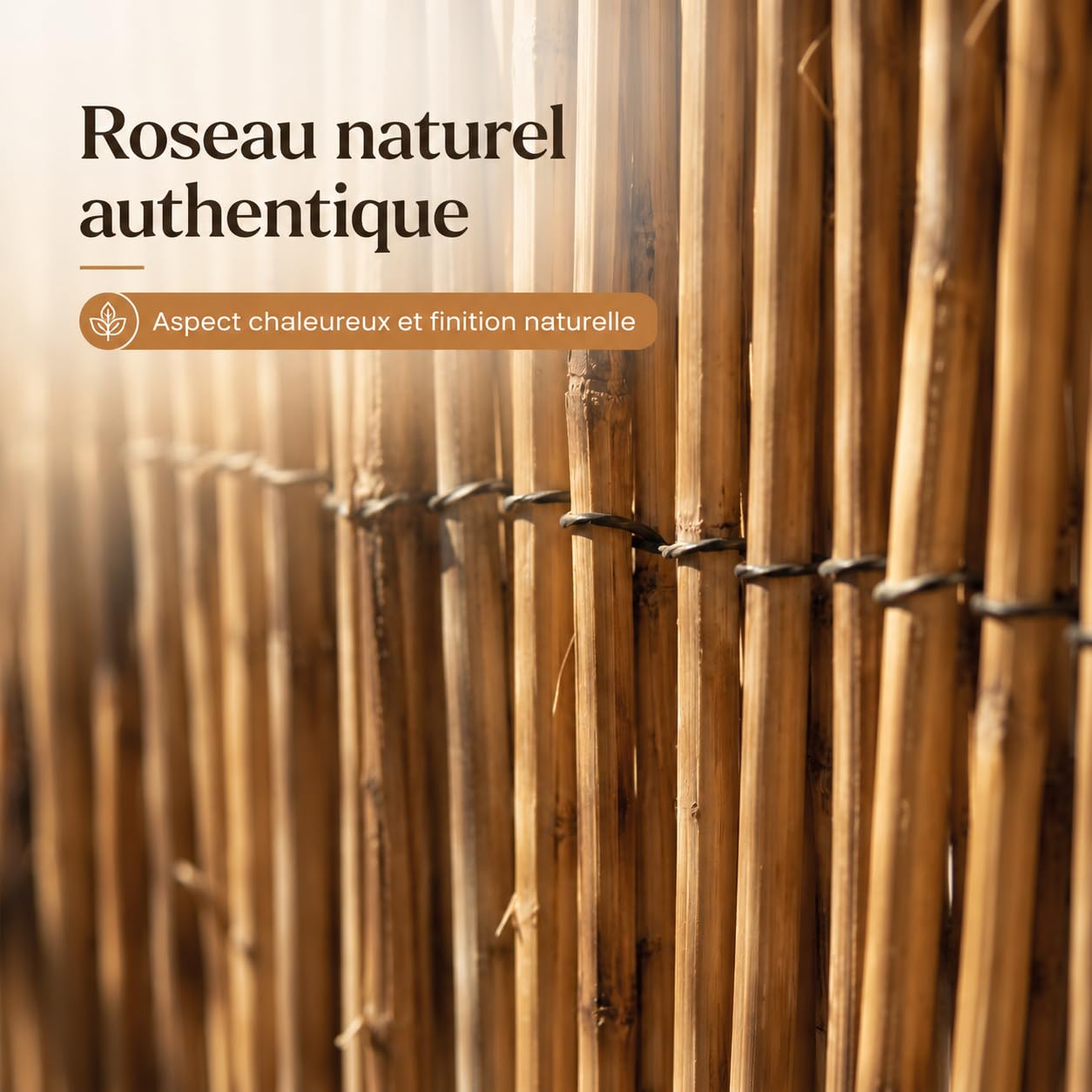 WERKA PRO Lot de 2 Brise-Vue Canisse en Roseau Naturel, 1 x 5 m, Liens en Fil de Fer Plastifié, Occultant pour Clôture et Terrasse (100 x 500 cm)