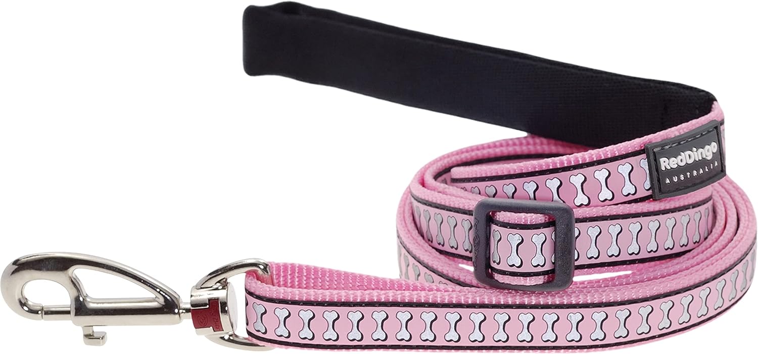Red Dingo Reflective Dog Lead, Small, Orange