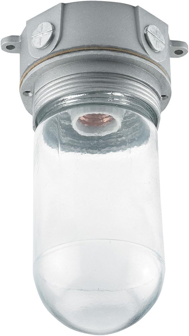 Plain Refrigerator Light Fixture with Wire Guard Close To Ceiling