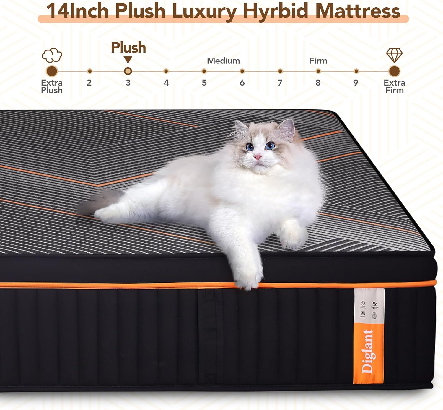 DIGLANT California King Plush Hybrid Mattress, 14 Inch Black Memory Foam with Individual Pocket Springs, 72"x84"
