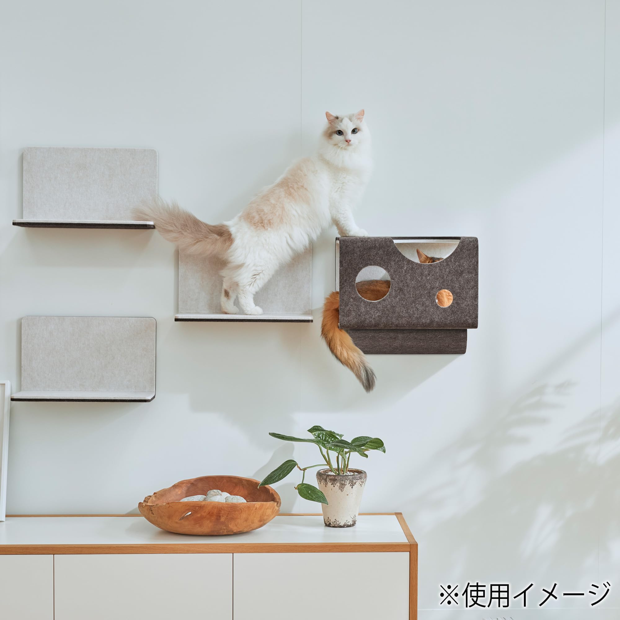 Amazon.co.jp: LIXIL(リクシル) キャットウォーク 猫壁(にゃんぺき