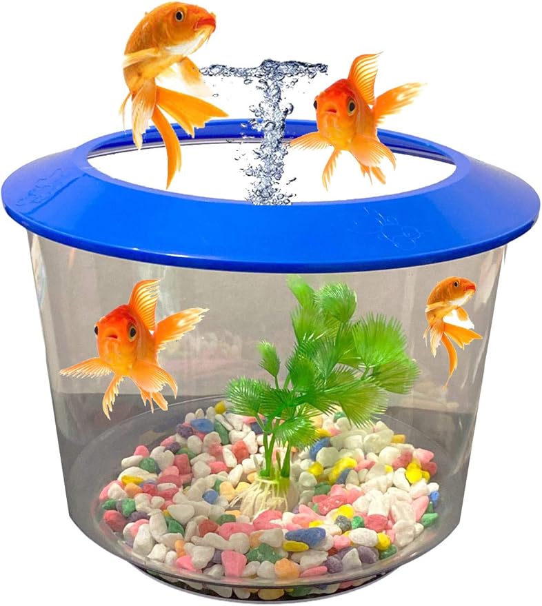 Pet Living Goldfish Bowl Strater Set Gold Fish Bowl with Ornamental Plant Fish Bowl (BLUE
