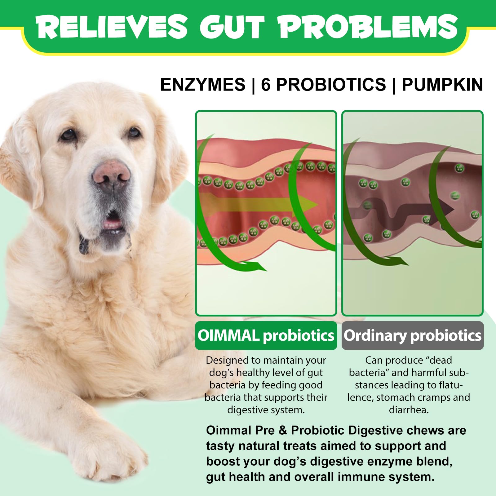Probióticos para Perros Enzimas Digestivas, 120PCS Probioticos Perros, Mejora la Salud Intestinal, Alergias Estacionales, Piel & Pelaje, para Todas Las Razas (Pato)