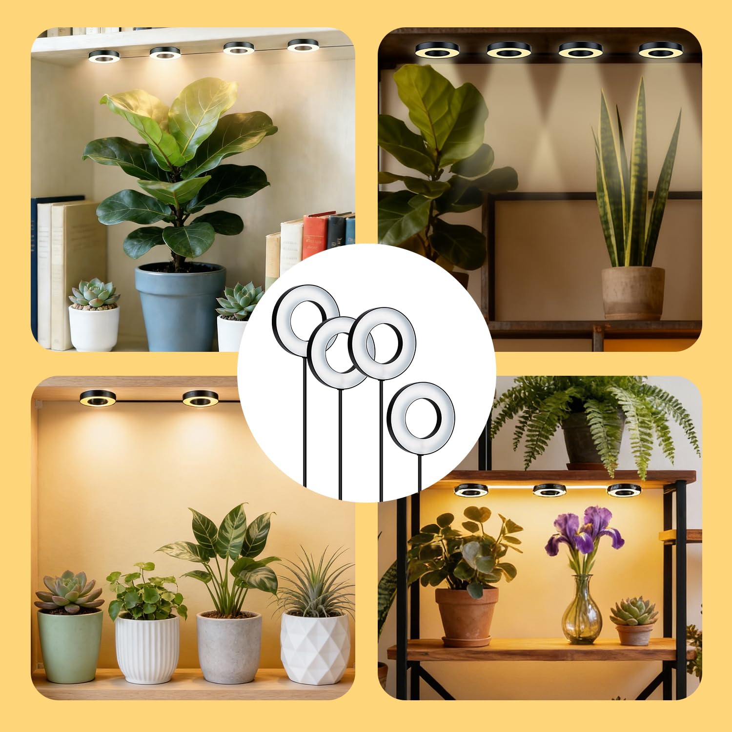 Wigearss Lámpara para Plantas, 4 Lampes LED de Croissance à Spectre Complet, Minuterie 3H/9H/12H, 3 Modes d'éclairage et 10 Niveaux de Luminosité pour Petites Plantes d'Intérieur et d'Extérieur