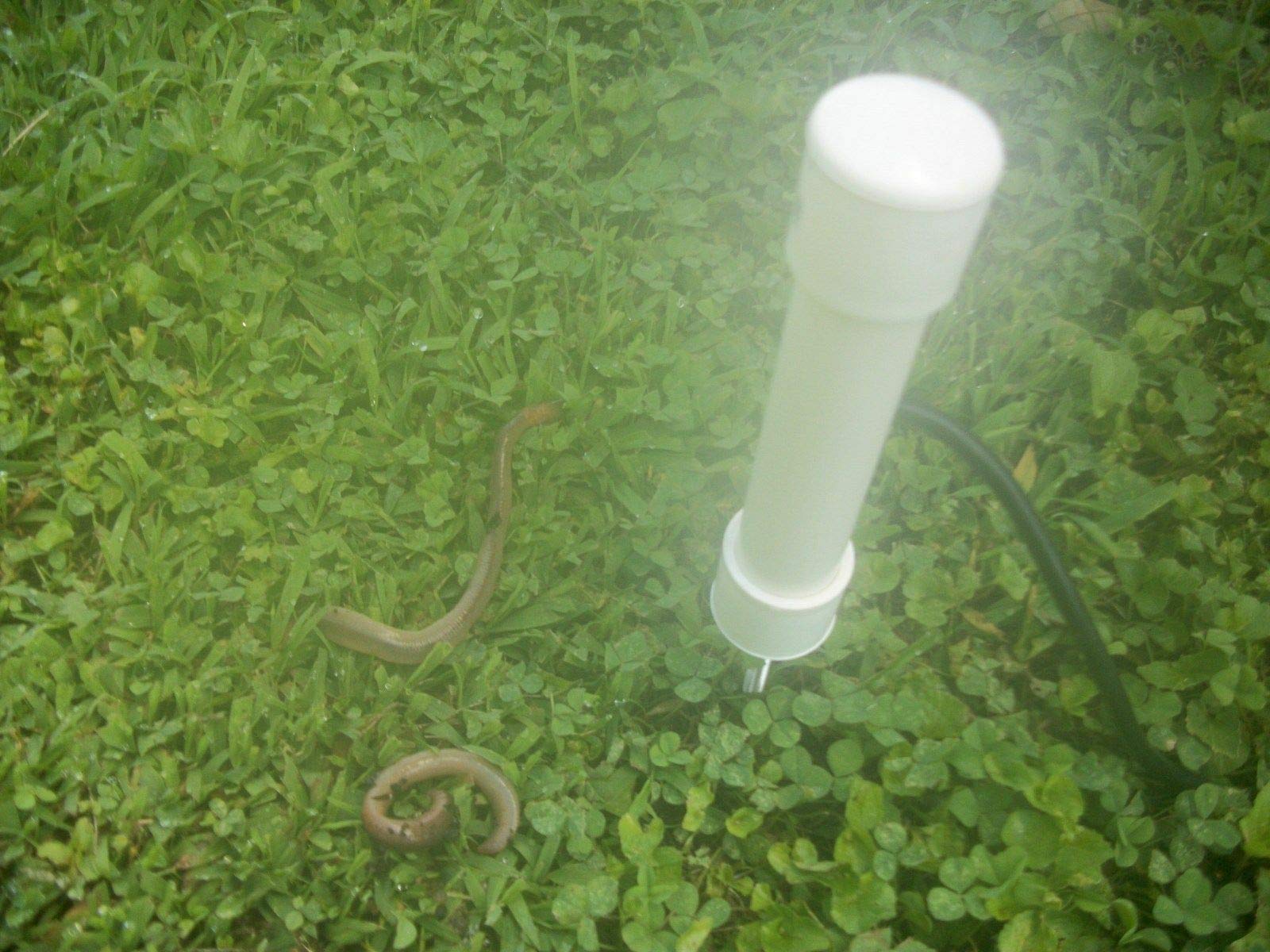 Worm shocker's Don't Buy nightcrawlers Anymore Catch Them Free