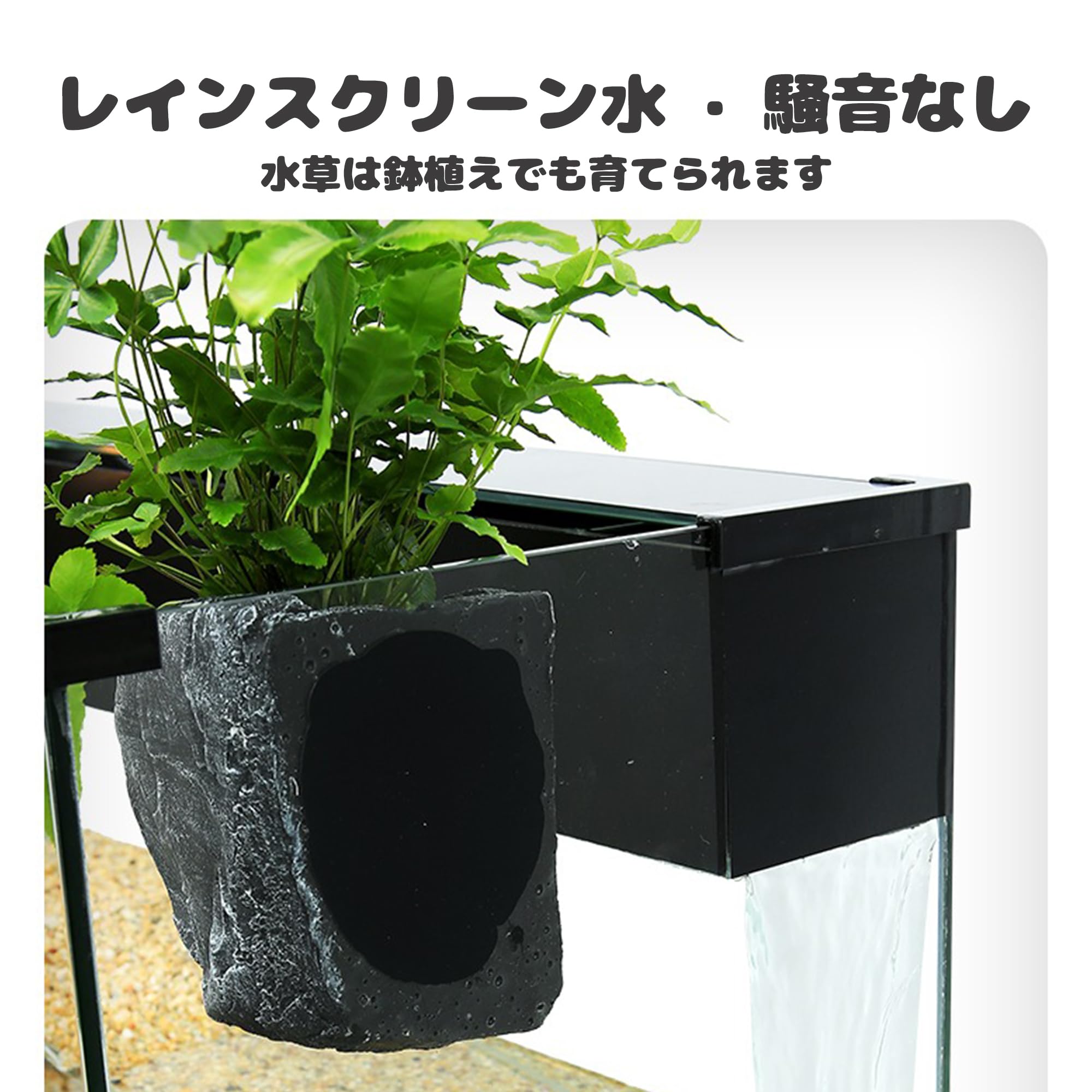 Amazon | 水亀水槽飼育ケース 上部フィルタータンク付き カメ水槽 底部 