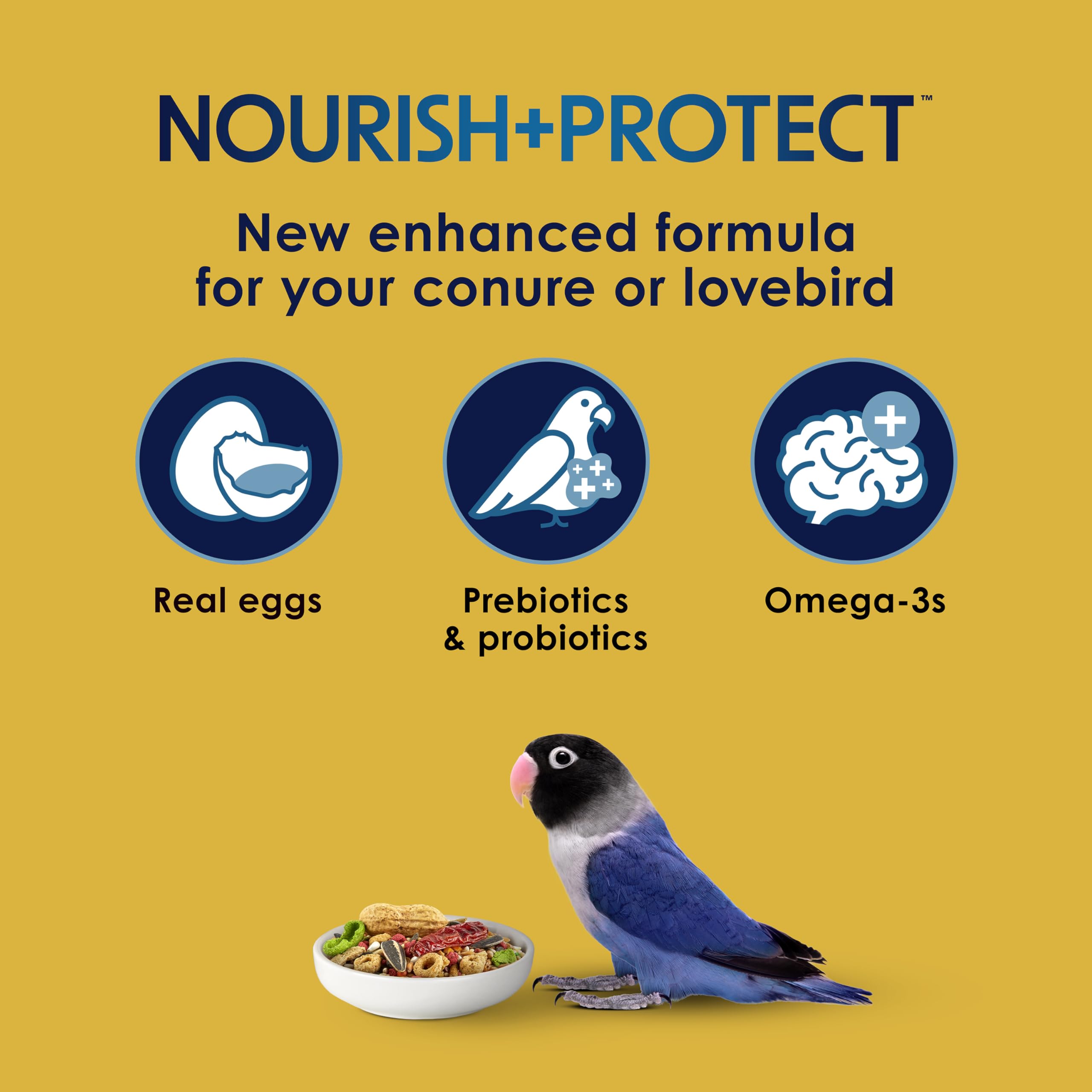 Kaytee forti-Diet Pro Salud Egg-cite. Conure & Agapornis Alimentos, 3-LB Bolsa