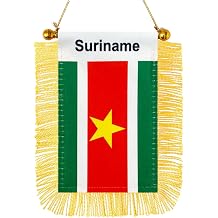 Suriname Hanging Flag Mini Small Surinamese Car Window Flags Banners Rearview Mirror Decor Suriname Flags with Suction Cup Golden Fringed Double Sided 3 X 5 Inch