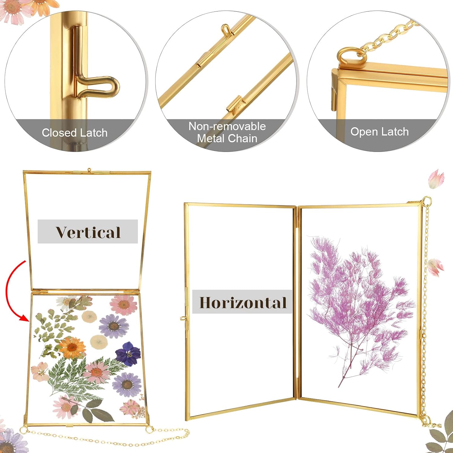 Treela 6 Pieces Pressed Flower Frames Brass Double Glass 5 x 7 Inch Wedding Gold Floating Hanging Photo Clear Horizontal and Vertical Frames with Chain for Gallery Pictures Vintage Artwork Display