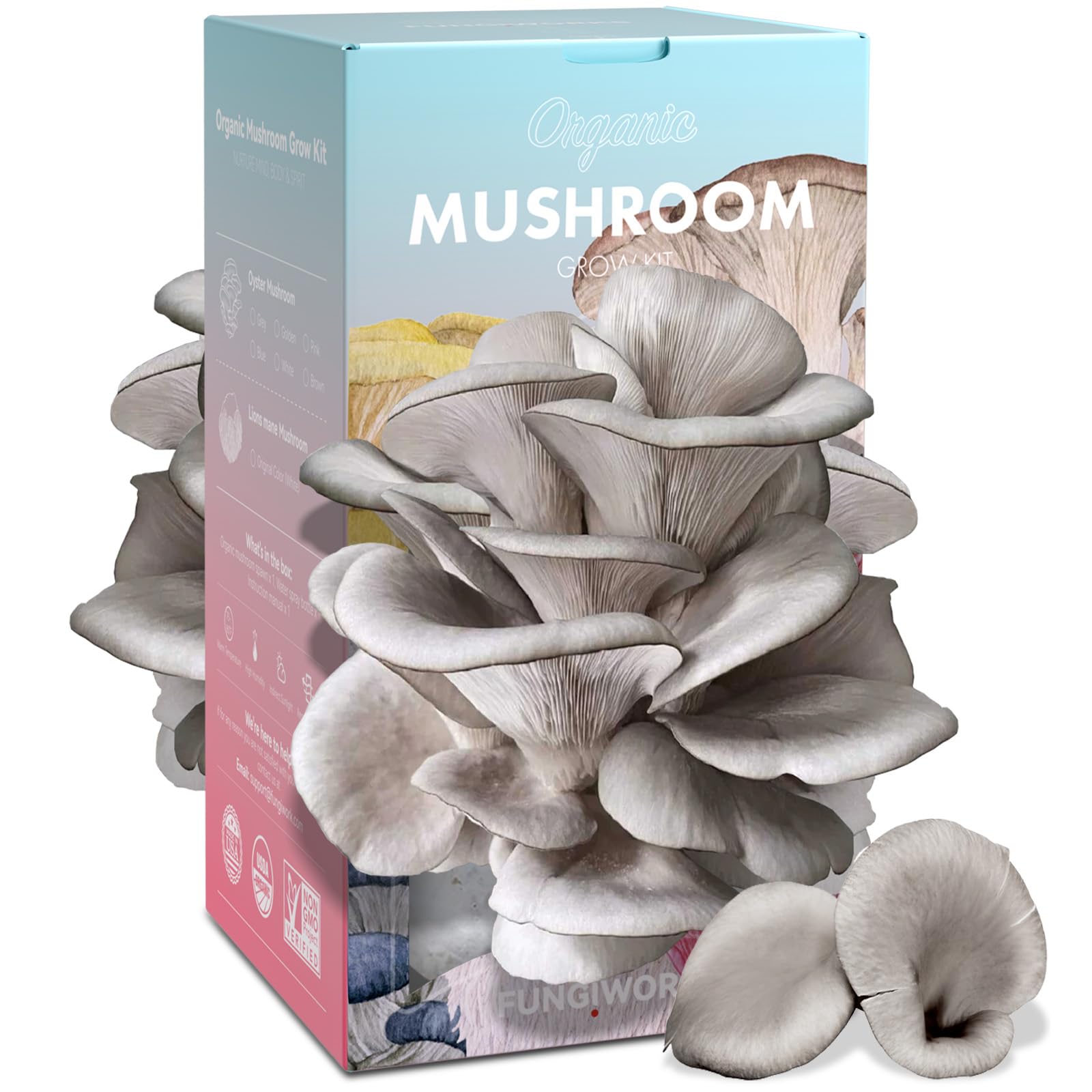 Kit de culture de pleurotes comestibles biologiques de 1,8 kg, fabriqué aux États-Unis, kit de culture de champignons double face en intérieur, récolte des champignons gastronomiques en 10 jours