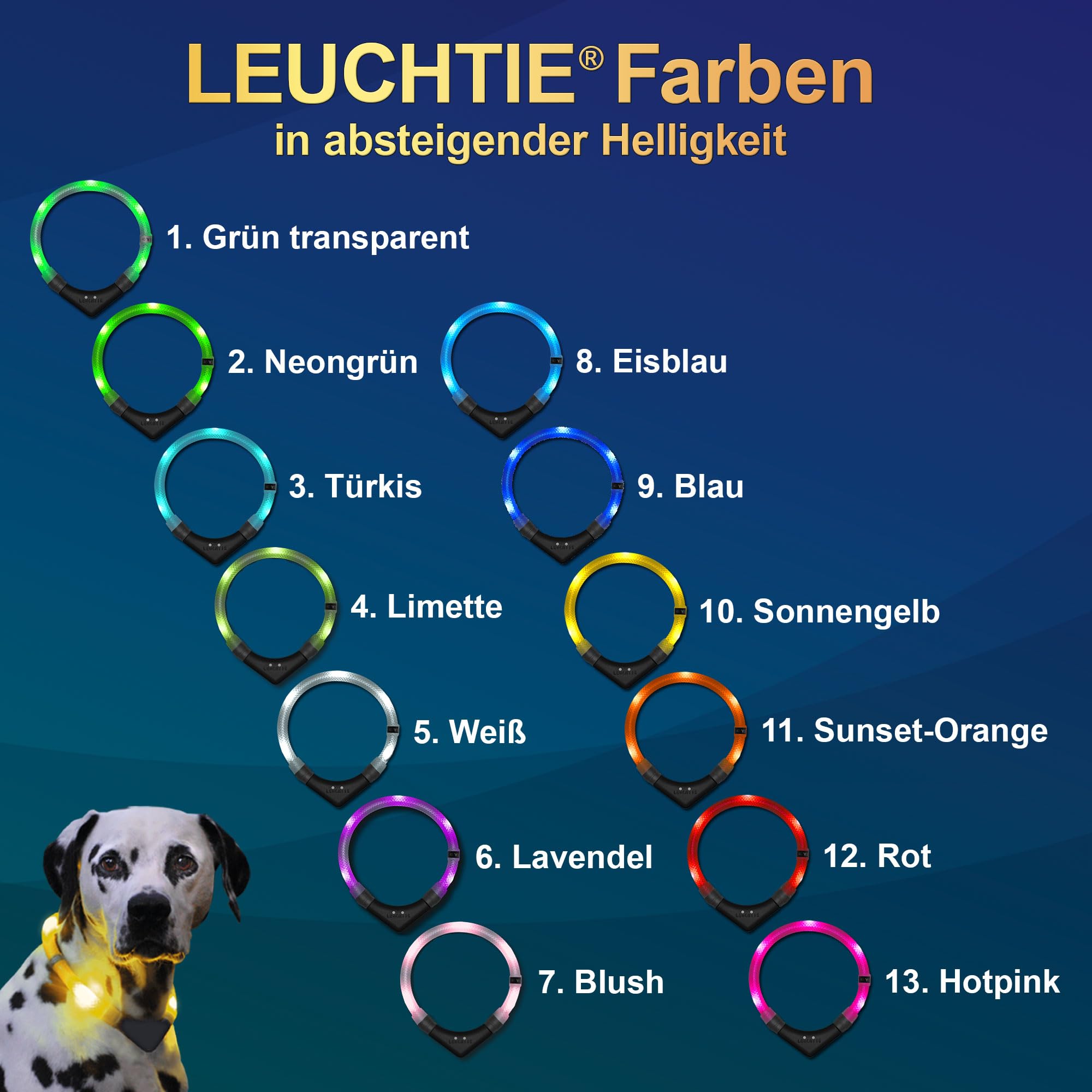 LEUCHTIE® Easy Charge Leuchthalsband Hund aufladbar, wasserdichtes LED Halsband, Leuchtband für Hunde 25 h Leuchtdauer, extrem hell, Blush Größe 40