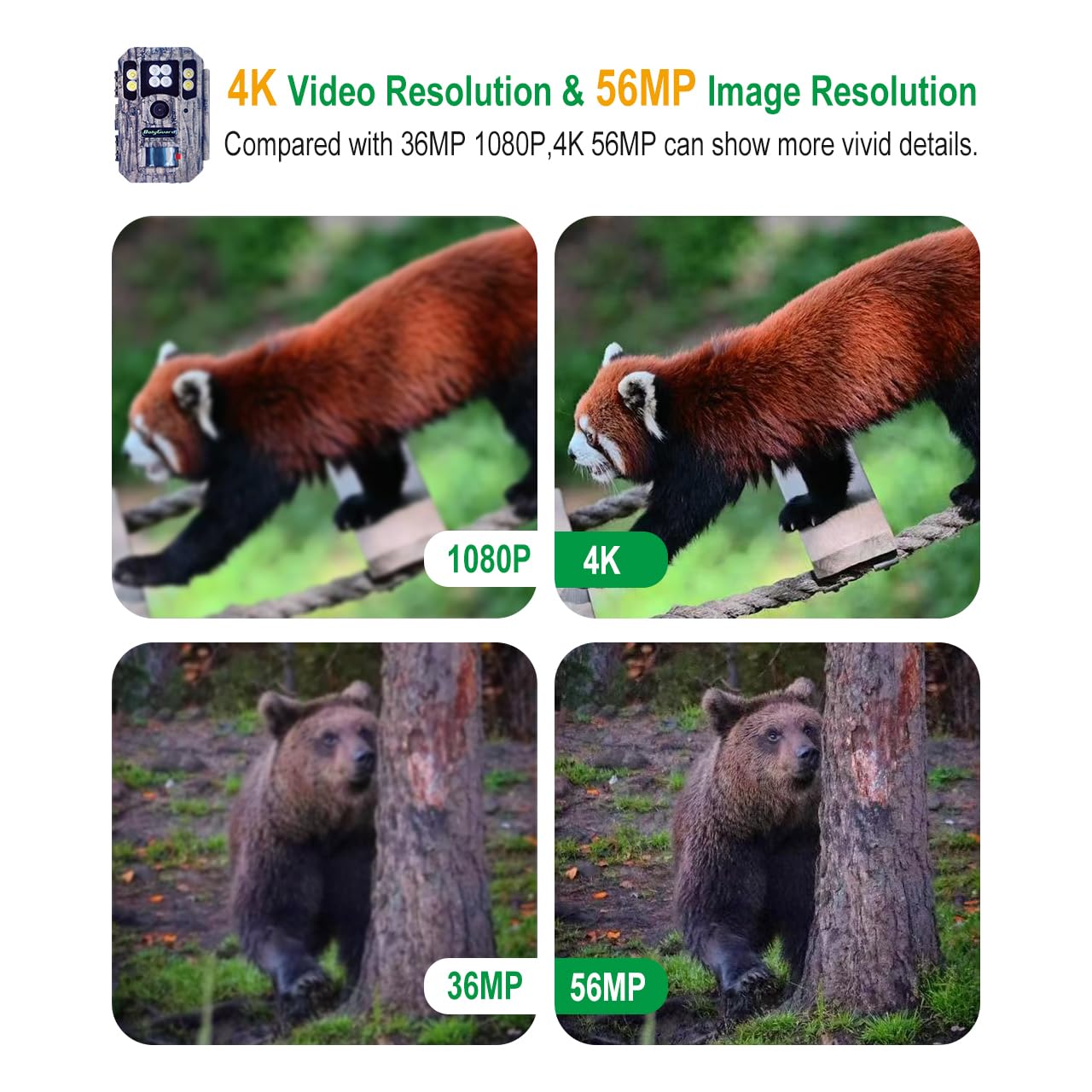 BolyGuard Jagdkamera 56MP 4K High-Definition Nachtsicht Tierkamera mit SD-Karte 256G, ausgestattet mit Bewegungsmelder, Jagdkamera im Freien, wasserdicht, blendfreies Foto, Fotokamera