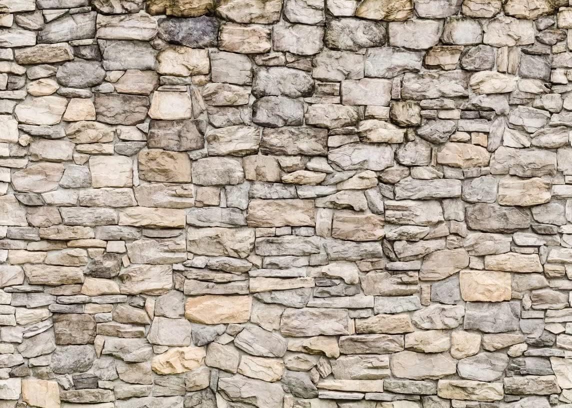 Amazon.com: BELECO Stone Wall Photography Backdrop 9x6ft Fabric Vintage ...