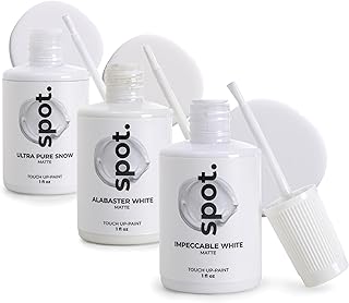 Matte White Touch-Up Paint Kit