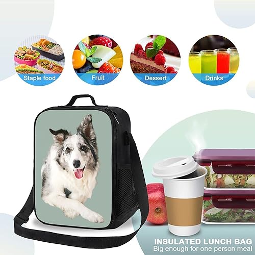 Vista 5 de Bolsa de almuerzo personalizada para mascotas, lonchera personalizada para mascotas, bolsa de almuerzo de neopreno con aislamiento personalizado