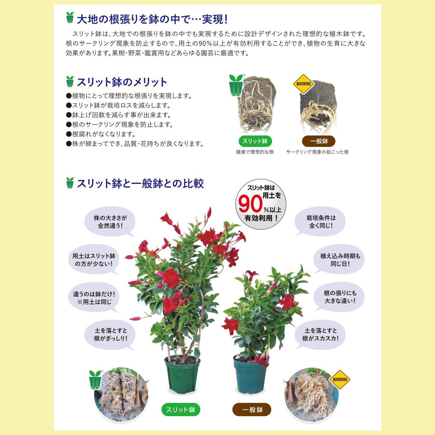 Amazon.co.jp: お好きな数でどうぞ 兼弥スリット鉢 ロングサイズ 24cm