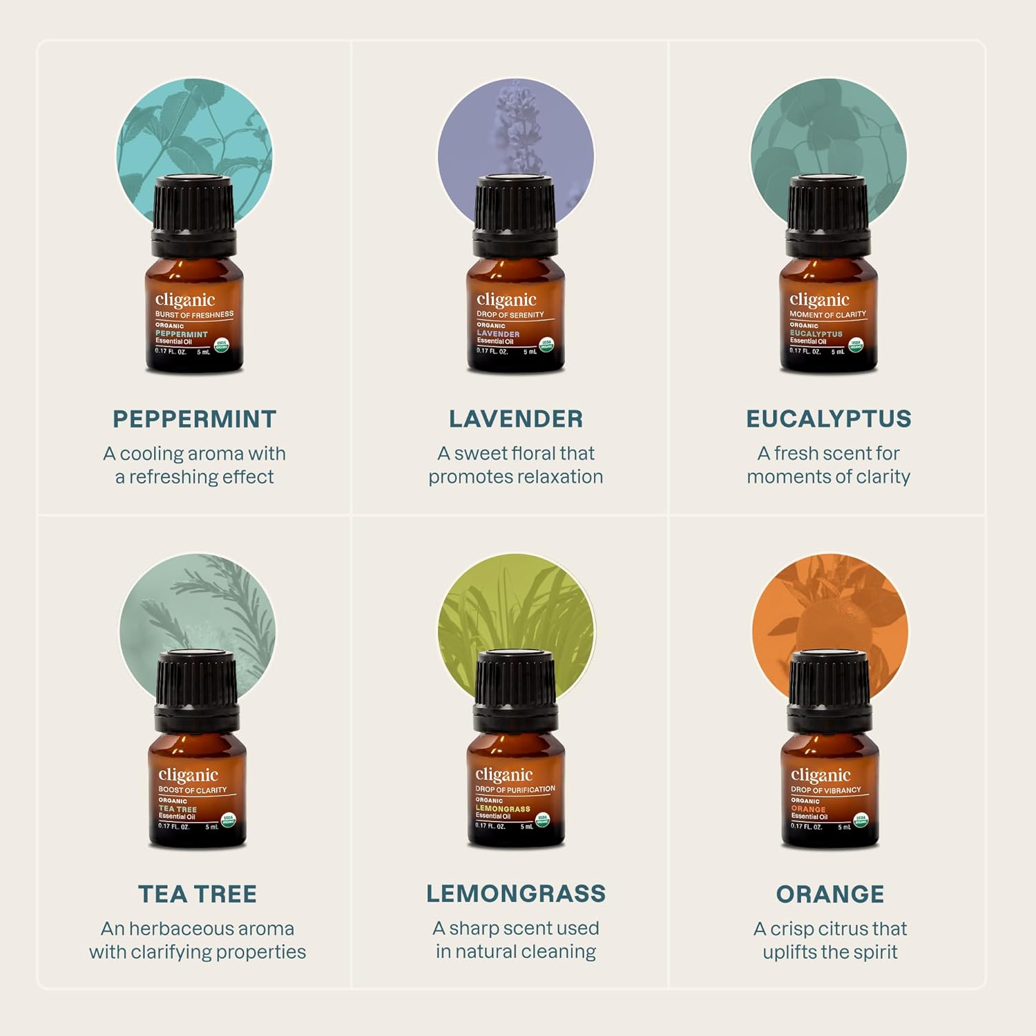 Cliganic Organic Aromatherapy Essential Oils Set (Top 6 - The Essentials), 100% Pure Natural - Peppermint, Lavender, Eucalyptus, Tea Tree, Lemongrass & Orange (Packaging May Vary) - Image 3