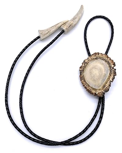 Polished Elk Antler Burr Bolo Tie wAntler Tips