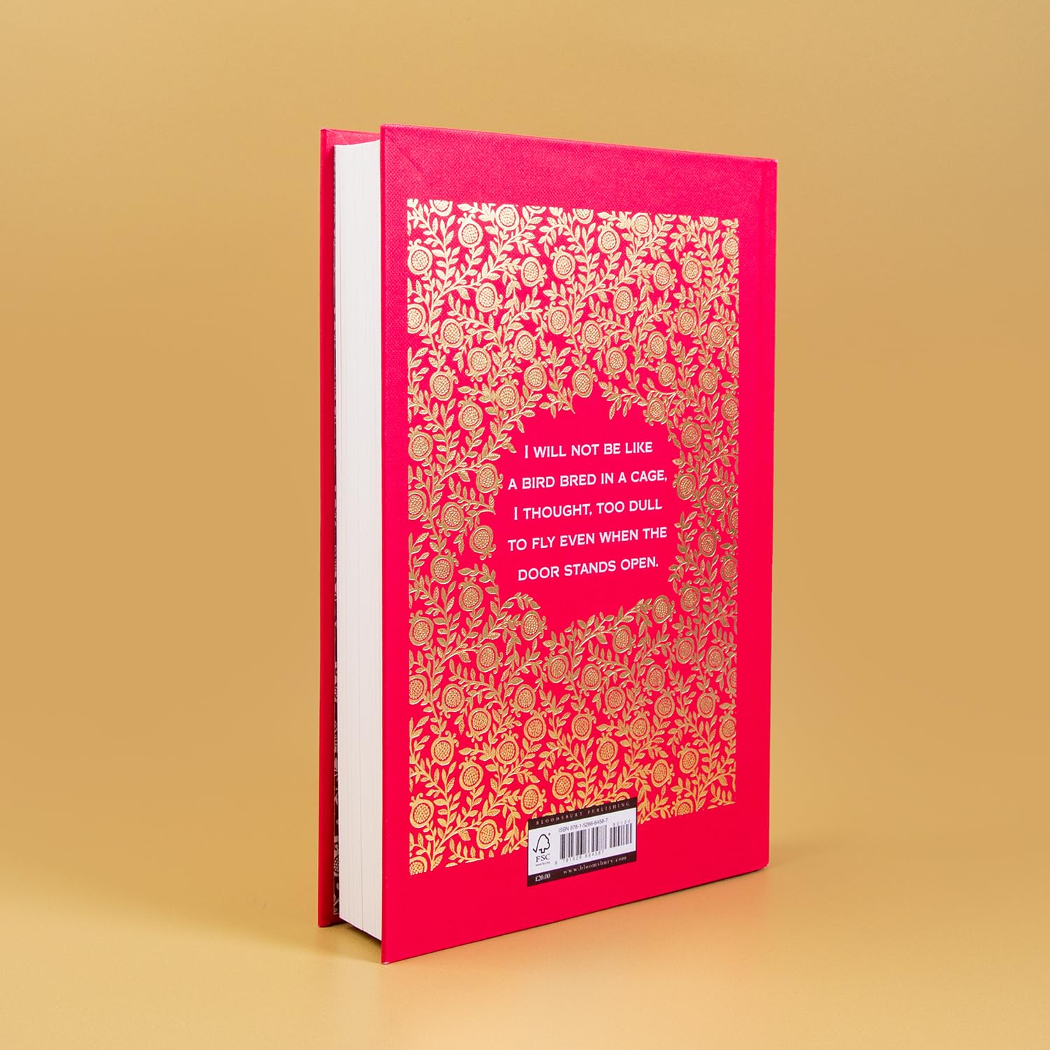 Circe: The stunning new anniversary edition from the author of international bestseller The Song of Achilles