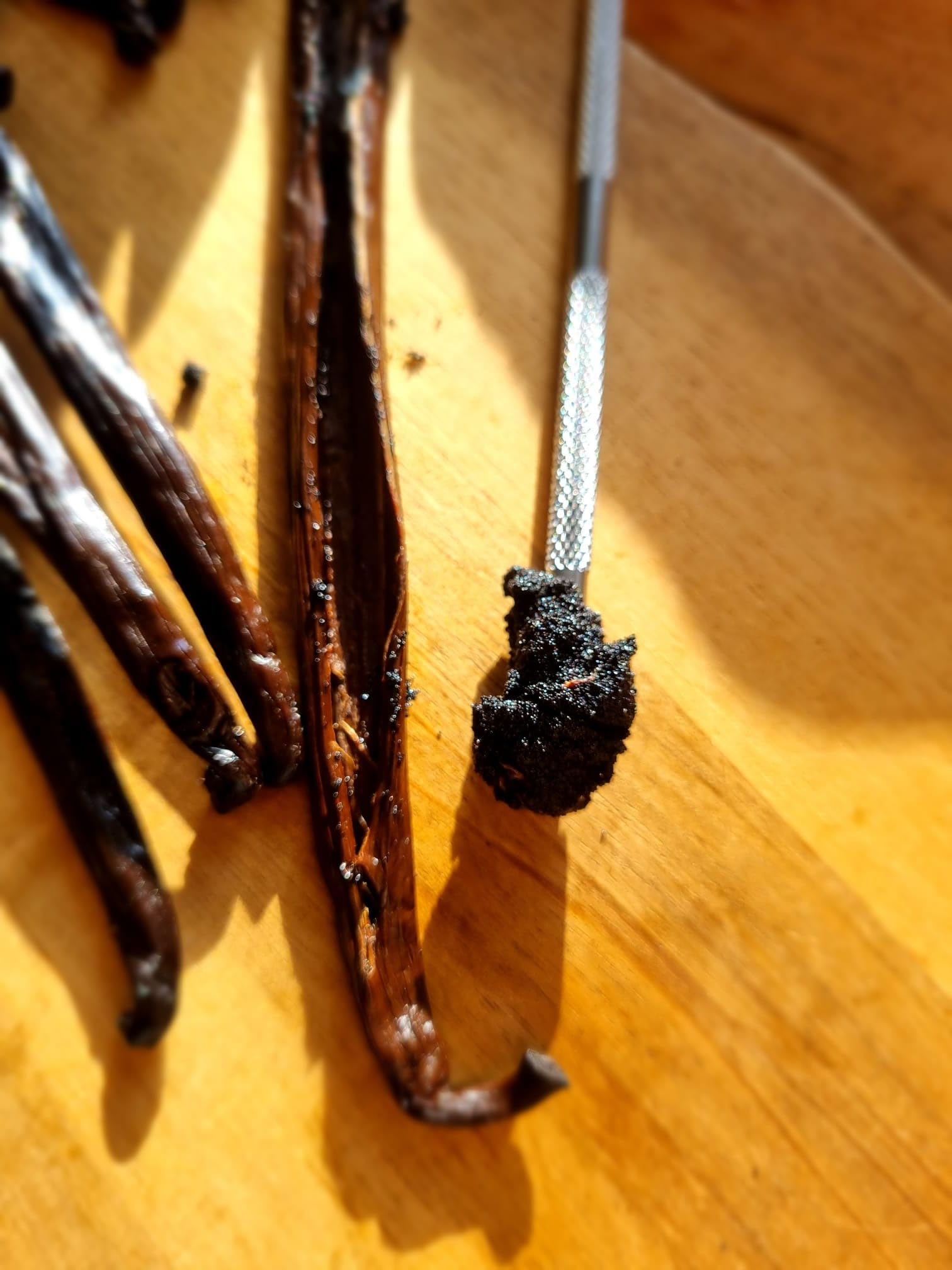 Bourbon Vanilleschoten 14-16 cm aus Madagaskar, Grade A - Top Gourmet Qualität, ganze Schoten, 5-100 Stück (14-16cm, 50, stück)