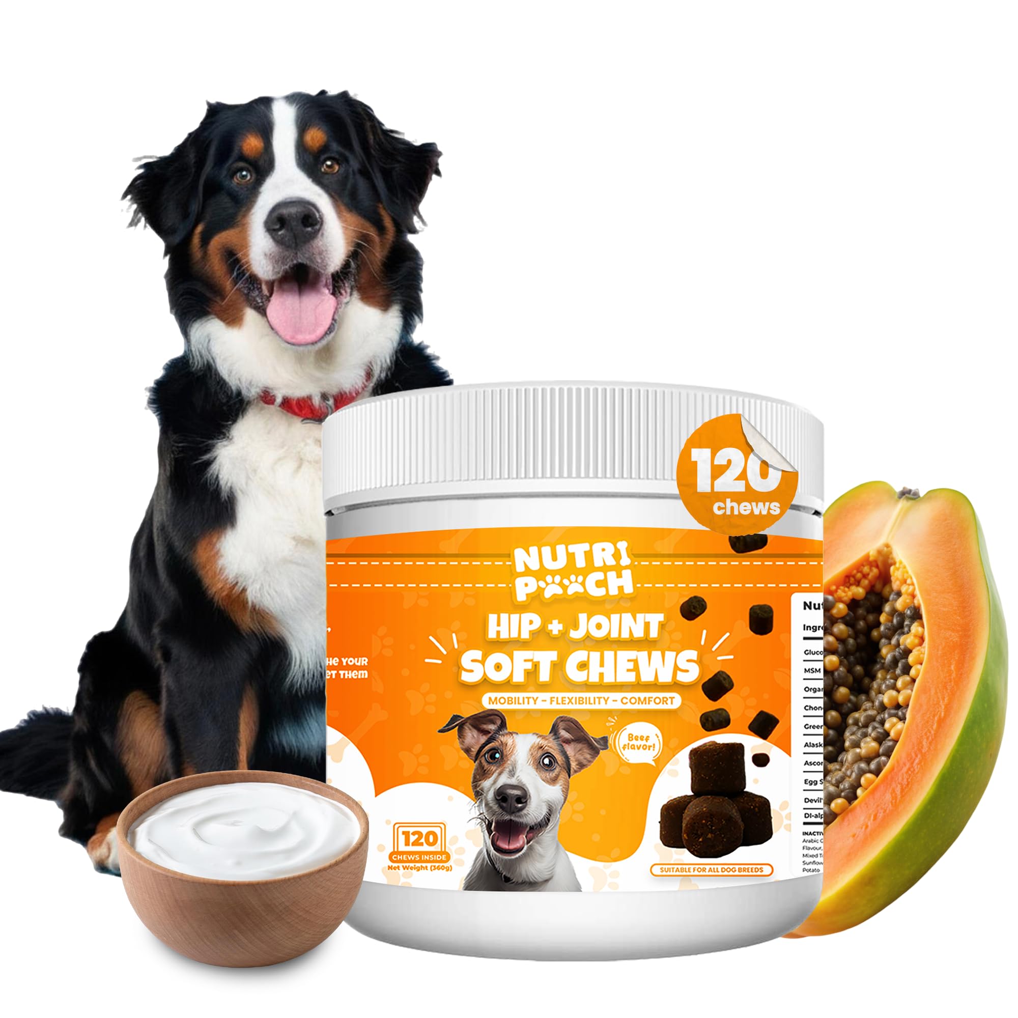 Hip & Joint Care Supplement for Dogs - with Lipped Mussels - Improve Mobility & Flexibility - Suitable for Small & Big Dogs - Beef Flavor Treats -120 Soft Chews