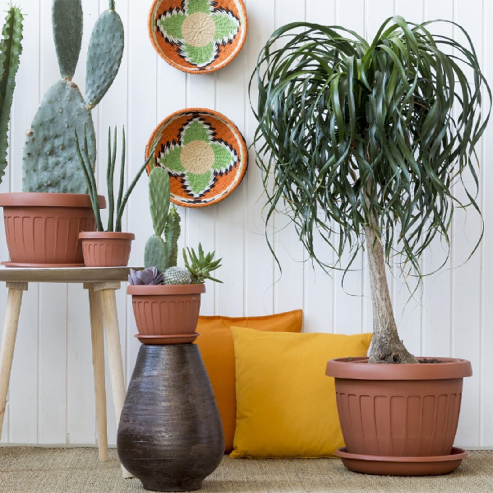 Vaso Valencia In Plastica 24 Cm – Colore Terracotta – Per Piante Da Interno/Esterno