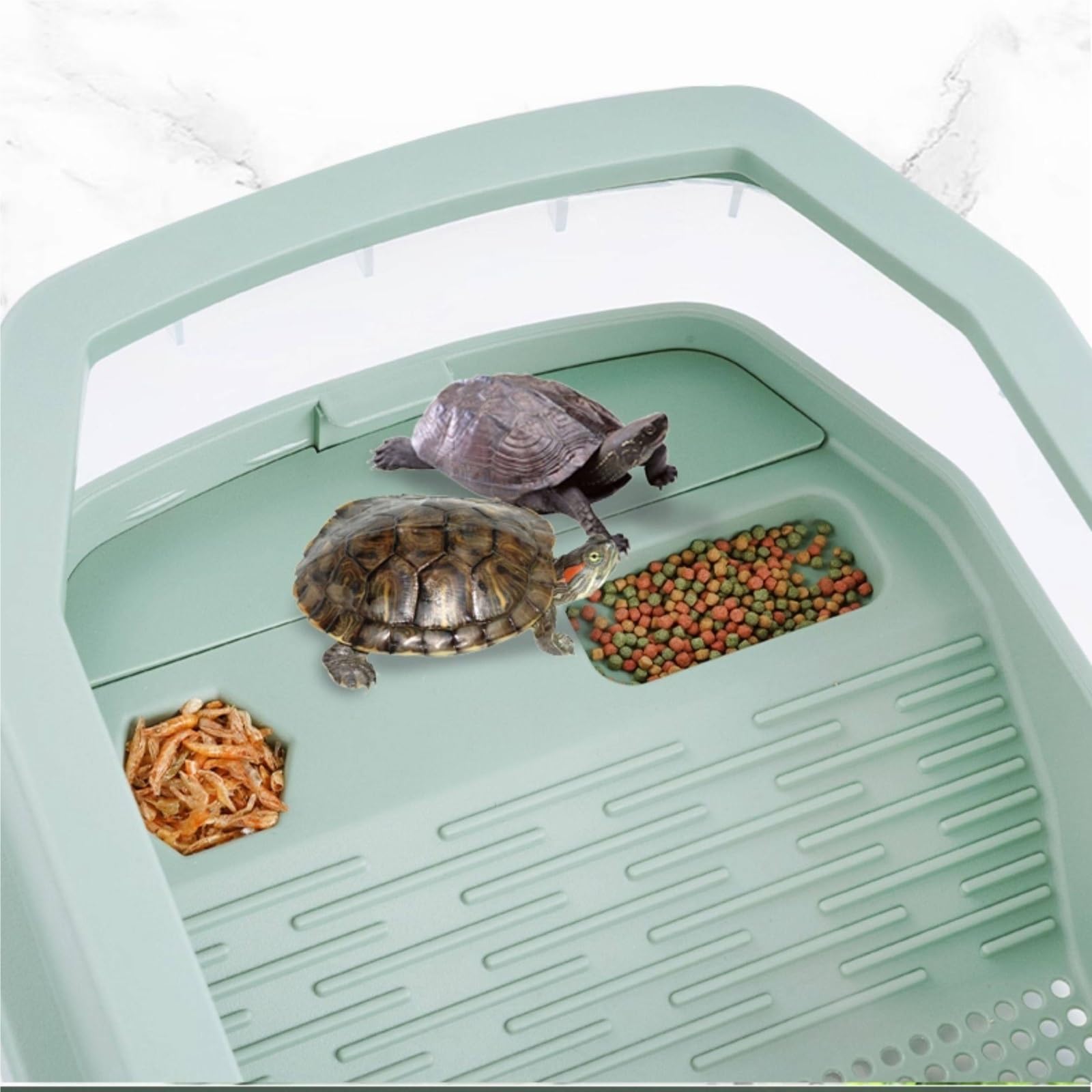 Siedlisko terrarium Zbiornik dla żółwi przeznaczony do hodowli użytku domowego z platformą wspinaczkową Terrarium akwariowe(Średni)
