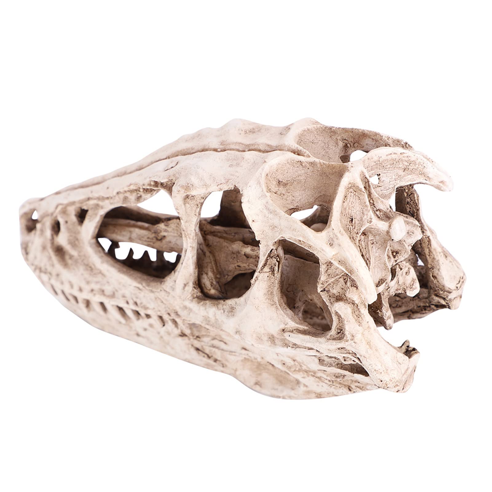 Srliya Grand Modèle de Crâne de Dinosaure 18 × 11 × 9, Modèle de Crâne de Dinosaure en Gomme, Simulation de Squelette d'animal, Décor Artisanal, Accessoire D'enseignement