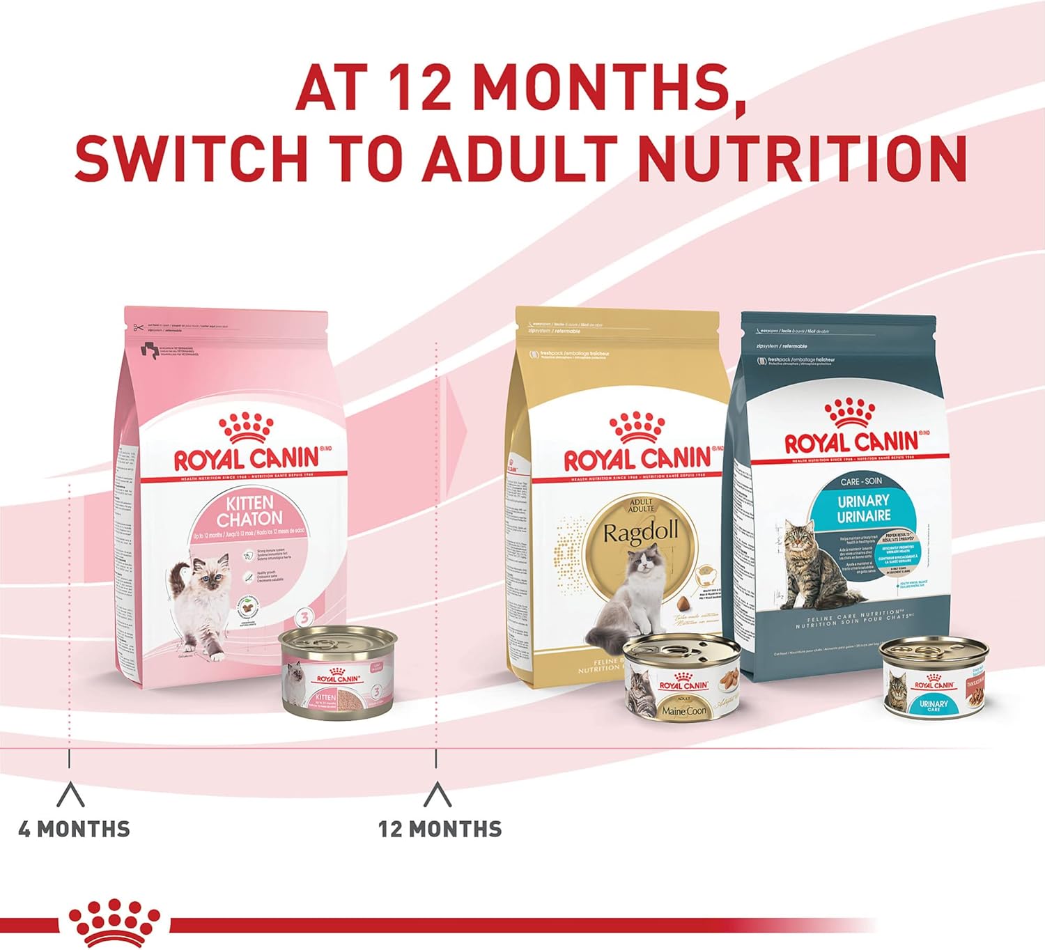 Bundle of Royal Canin Feline Health Nutrition Kitten Thin Slices in Gravy Canned Cat Food, 3 Oz Can, Pack of 24 + Royal Canin Feline Health Nutrition Kitten Canned Cat Food 24 Count (Pack of 1)