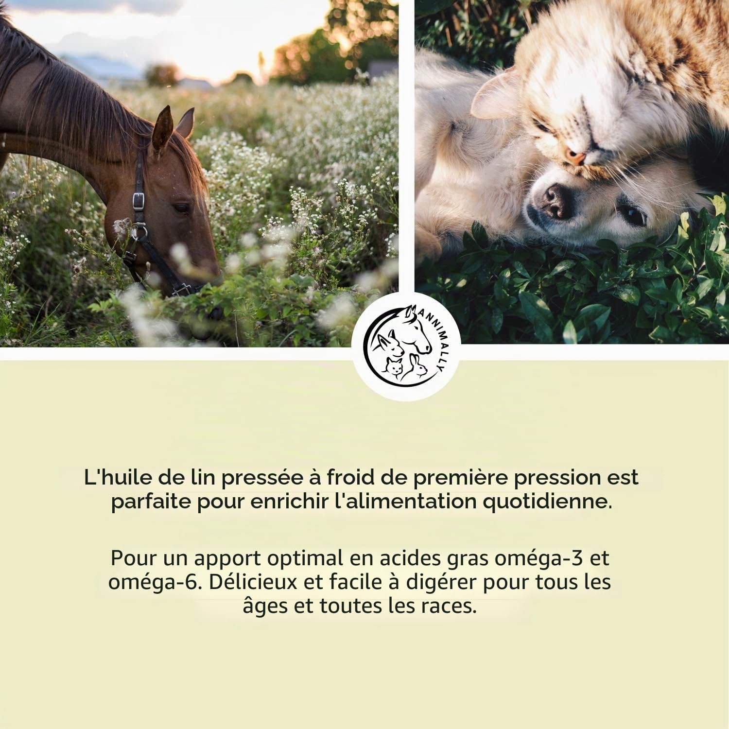Huile de Lin pour Chiens 500 ML - Huile Chien de graines de Lin pressée à Froid, Riche en acides Gras Omega 3 pour Chien & 6 et en Vitamine B