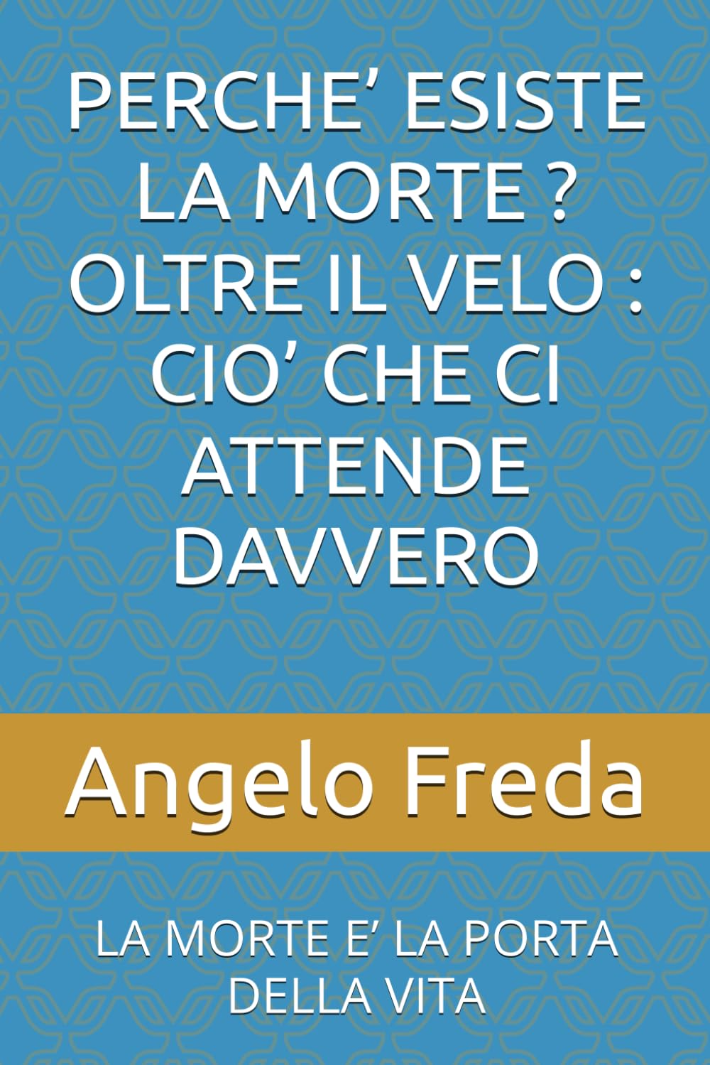 PERCHE’ ESISTE LA MORTE ? OLTRE IL VELO : CIO’ CHE CI ATTENDE DAVVERO: LA MORTE E’ LA PORTA DELLA VITA (IL LIBRO DEL PERCHE')