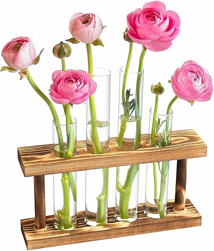 Macetas de propagación de escritorio de vidrio, estación de propagación de plantas con soporte de madera, 4 jarrones de tubo de ensayo, para