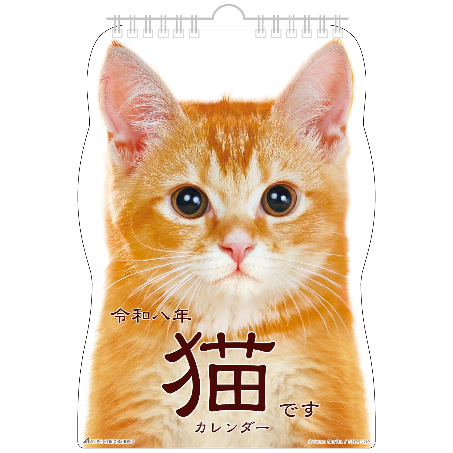 Amazon | アクティブコーポレーション 2026 カレンダー 壁掛け 猫です