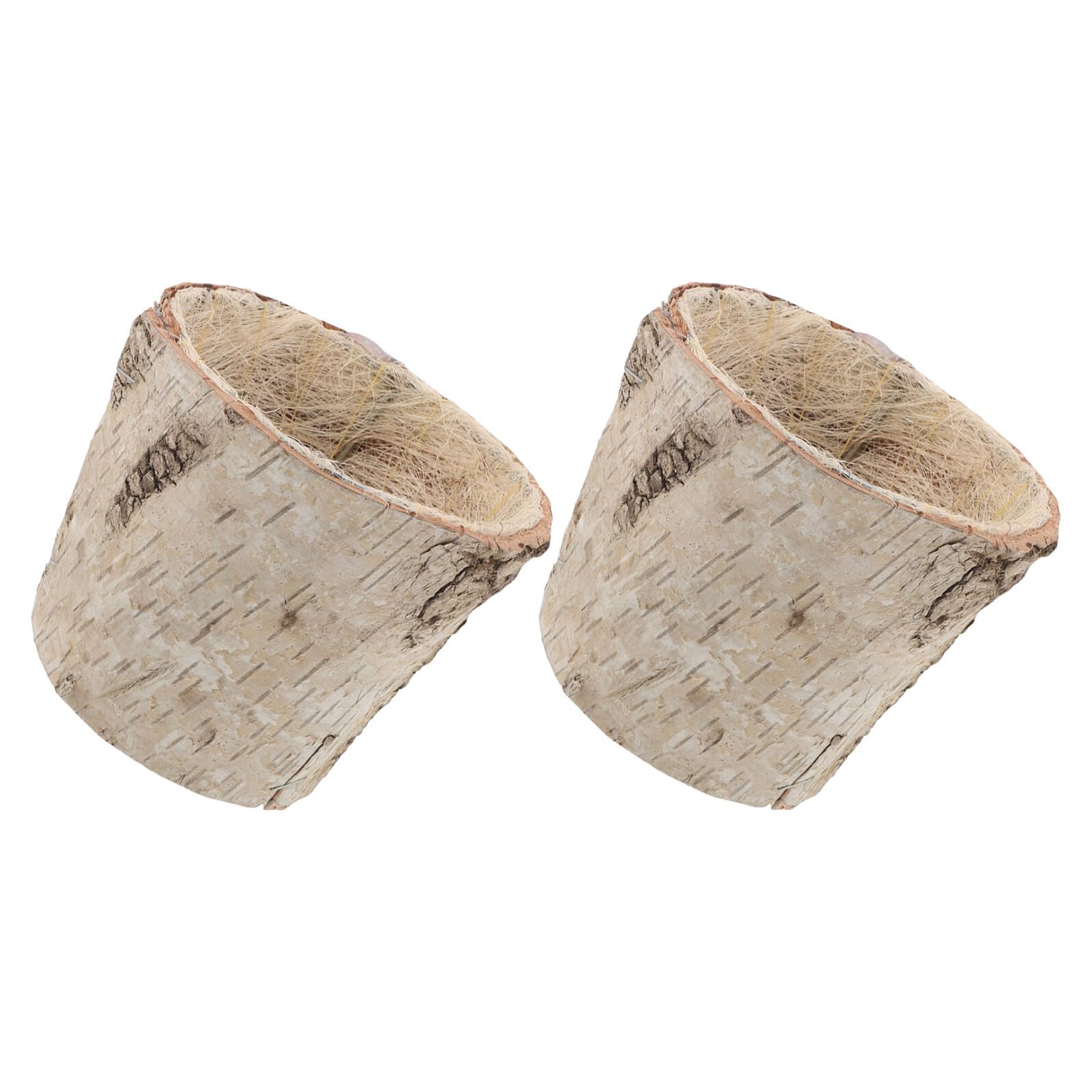 Pots de fleurs en écorce de bouleau étanches jardinières rustiques bois cactus intérieur