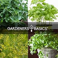 Vista 4 de 5200 Semillas de 15 variedades tradicionales no transgénicas, interior, hidropónicas, aire libre: albahaca, hierba gatera, cebollino, cilantro