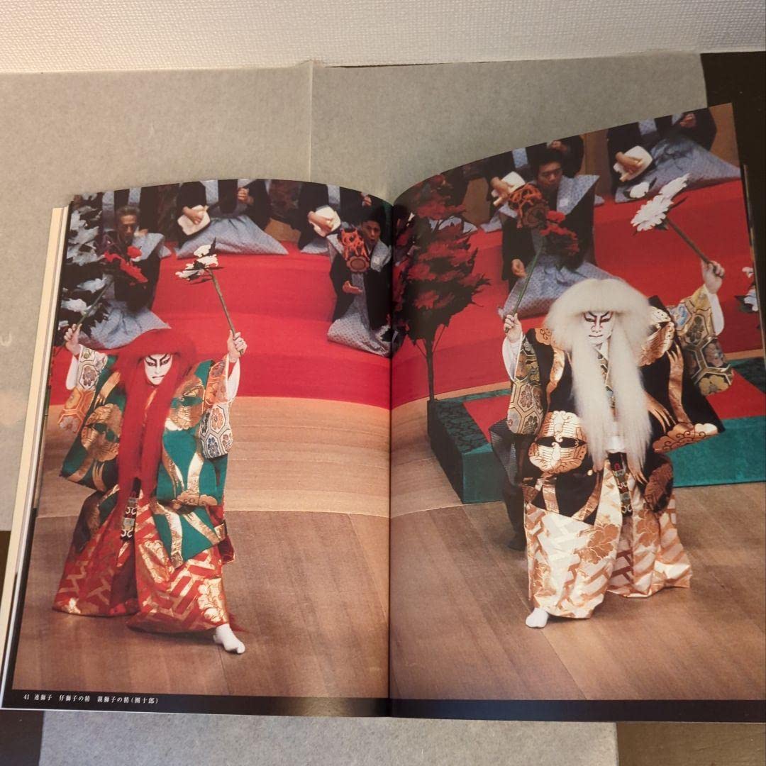 写真集           市川海老蔵 (十一代目襲名記念) 市川海老蔵 : 十一代目襲名記念写真集 / 古本、中古本、古書籍の