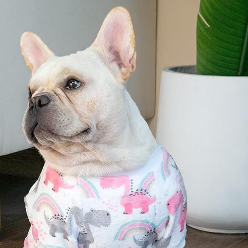 Miniatura 7 de CuteBone Ropa de invierno para perro, abrigo de terciopelo grueso, traje de cachorro, pijama suave, ropa para gatos MR01M