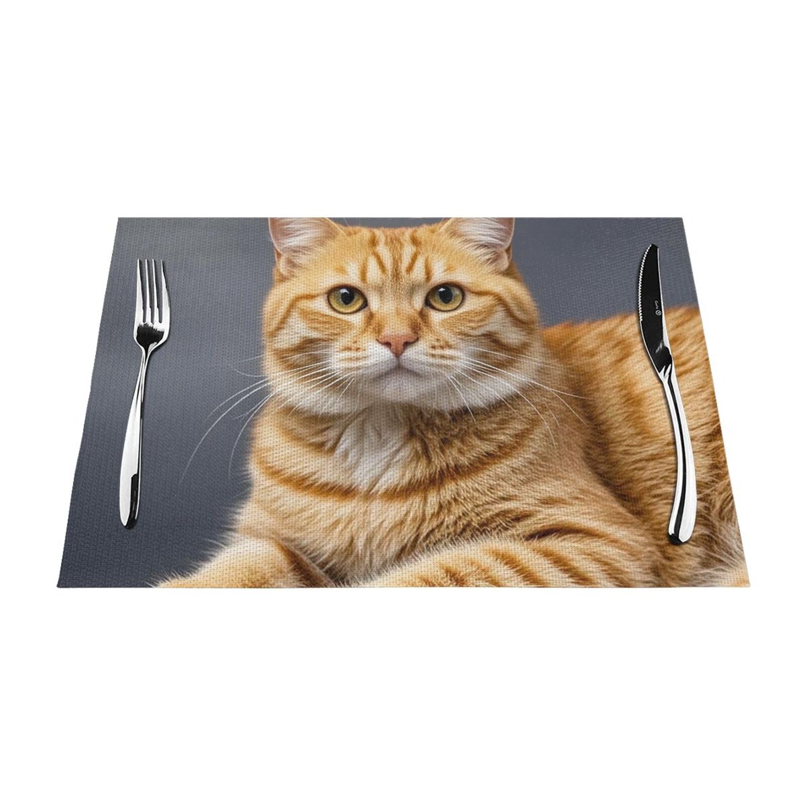 Placemats Set of 4 PCS Heat Resistant Non-Slip Place Mats for Dining Table Cat Placemats Wipeable Washable PVC Weave Table Mats for Party Kitchen Dining Decor