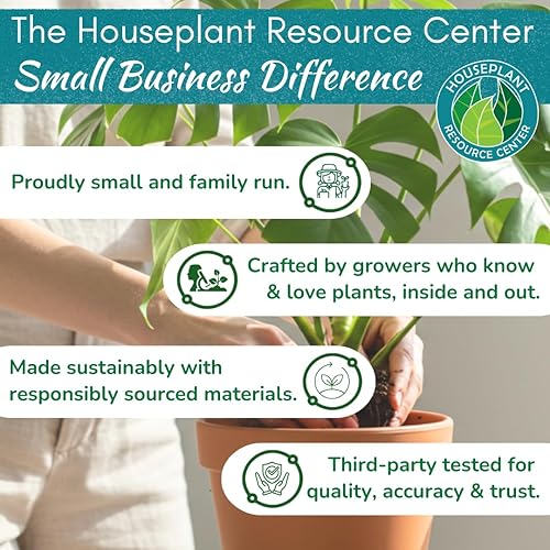 Miniatura 6 de Houseplant Smart Gravel  Mejora el drenaje, evita el exceso de riego y la pudrición de la raíz, apoya raíces fuertes  Rocas de drenaje ecológicas y