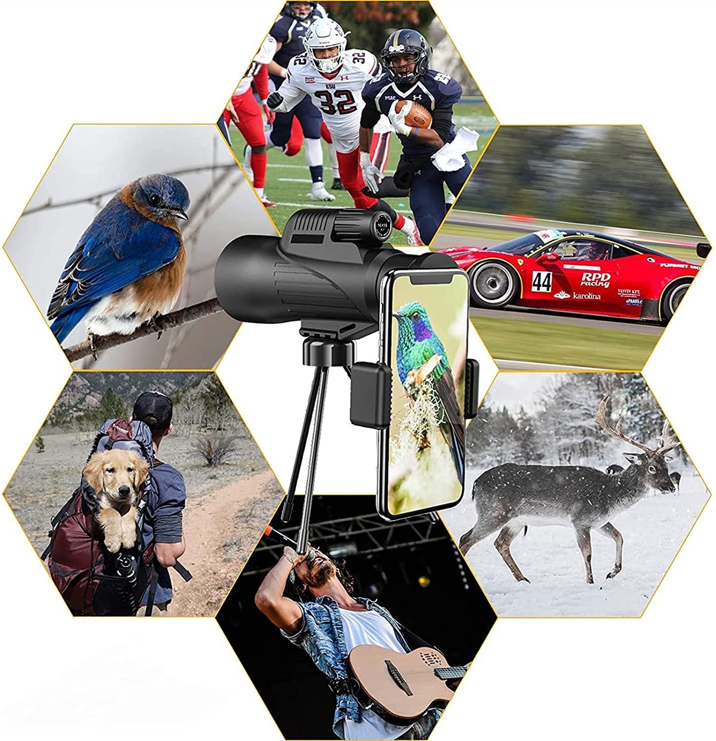 - Jumelles Haute Puissance 12 x 50 pour l'observation des Oiseaux, étanches HD avec trépied, idéales pour la Chasse, Le Camping, Les Voyages et la Nature