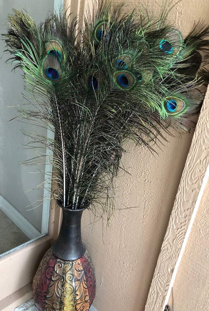 futurewizard premium real Natural Peacock/mor pankh Eye Feathers tail for Craft Work 20 Pieces *12 inch)