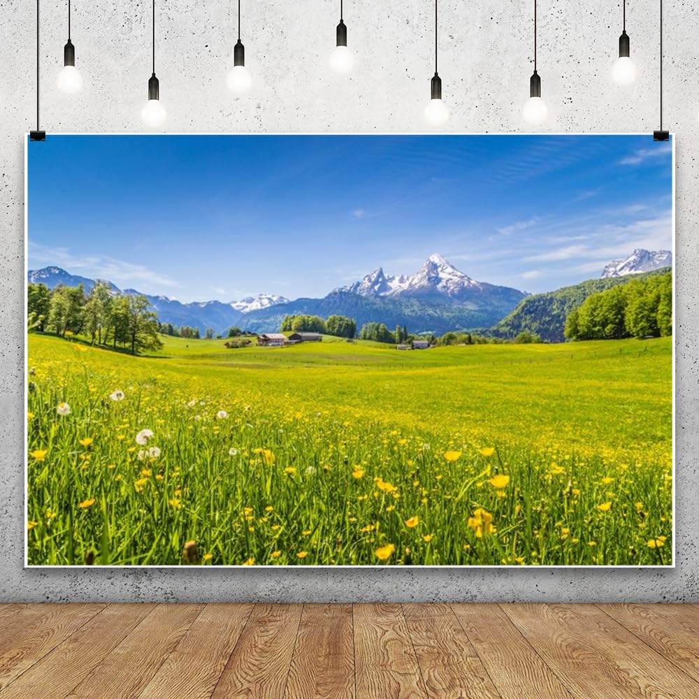 Laeacco 10x8FT Alps Landscape Background for Photography Rural Countryside Grassland Meadow Flowers Green Pasture Scenery Backdrop Spring Photo