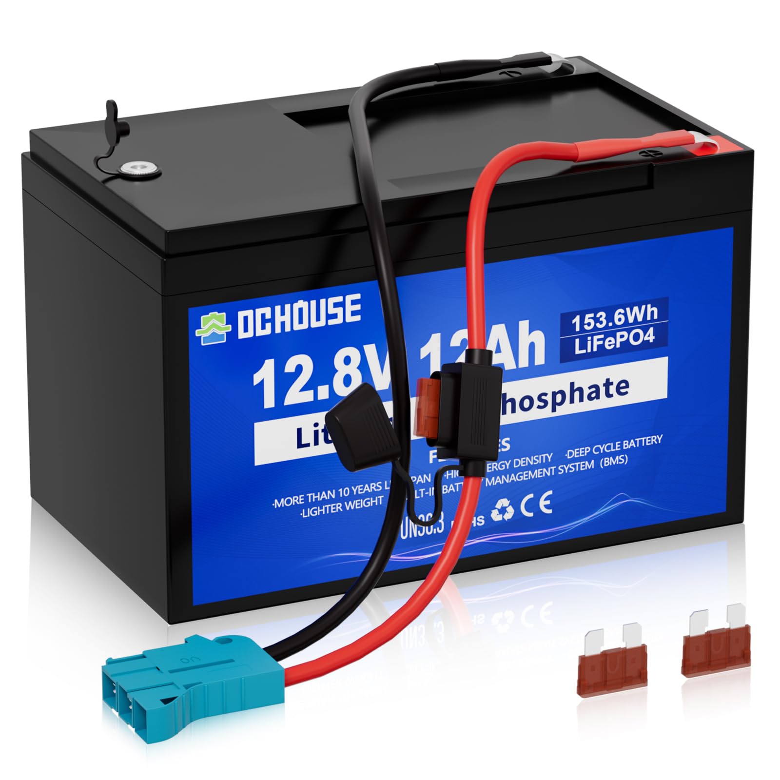 DCHOUSE Batterie au Lithium 12V 12Ah Lifepo4, Connecteur Câbles et Port CC | Batterie Lifepo4 Rechargeable de Plus de 4000 Cycles avec BMS 15A pour Bateau, Jouet à Enfourcher