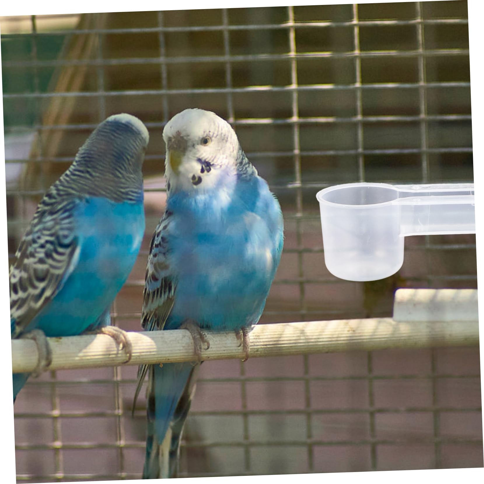 Garneck Bebedero para Pájaros y Loros de Plástico Blanco Doble Puerto, Fácil Limpieza y Resistente, Adecuado para Zoológicos y Tiendas de Mascotas, Pack de 10 Unidades
