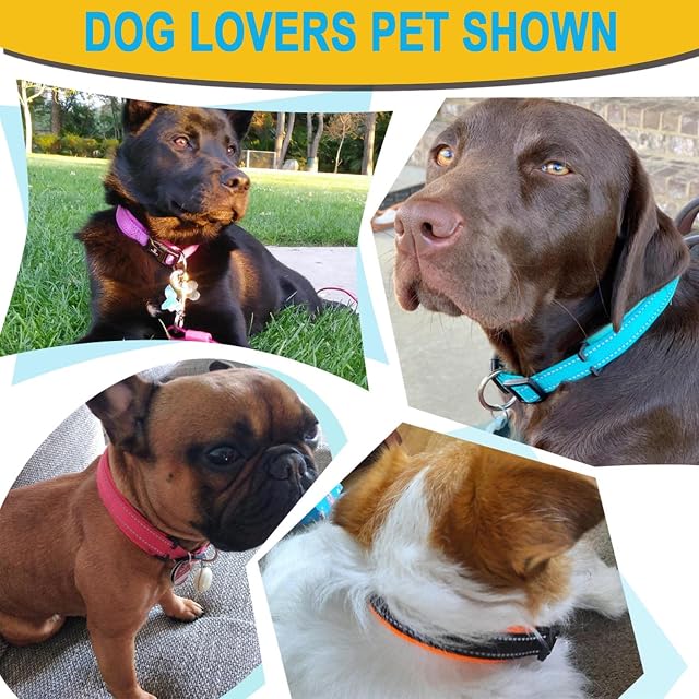 Foto 7 de 7 de Dog Collar, Reflective Adjustable Basic Dog Collar with Soft Neoprene Padding