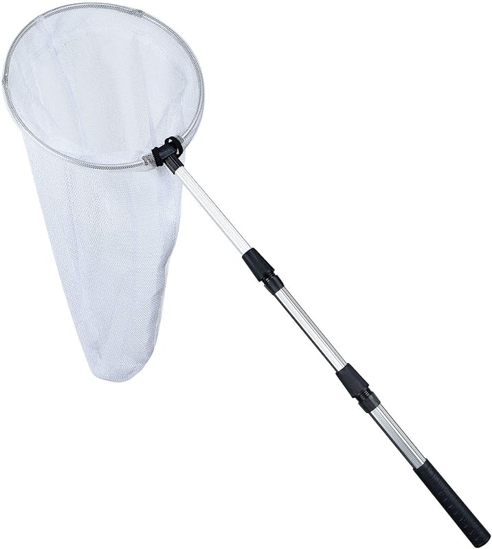 Coopay Red de pesca para insectos y mariposas con anillo de 12 pulgadas, mango que se extiende hasta 36 pulgadas